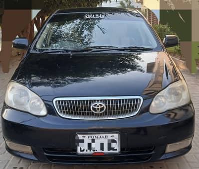 chat piller gunien iner total gunien