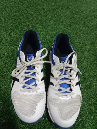 Acisc Professional Cricket Shoes