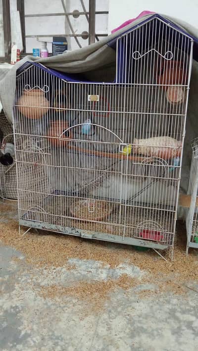 house cage 8000 rs folding cage black 3000 rs wight cage 2500