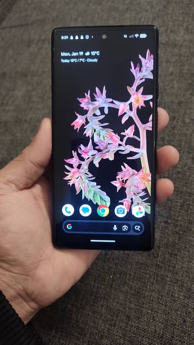 Google Pixel 6 8/256