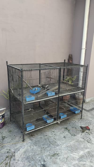 4Ft l x 2.5 w x 3.5ft h  Ft Angle  Frame Birds Cage with Acessories