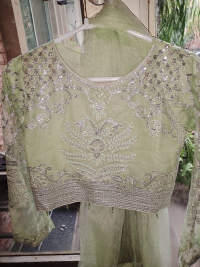 Lehnga Choli-Beige Green