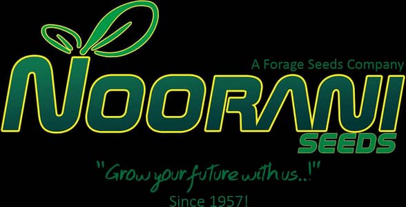 female sales associate