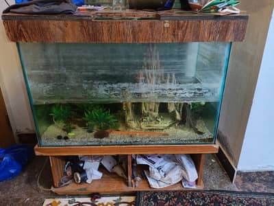 Big size Aquarium with wooden stand and cover