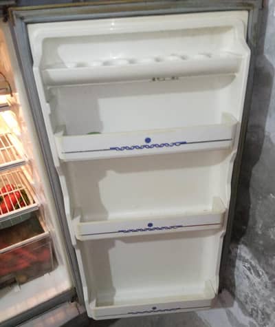 Medium size freige Dwalance for sale