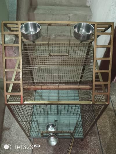 new big birds cage