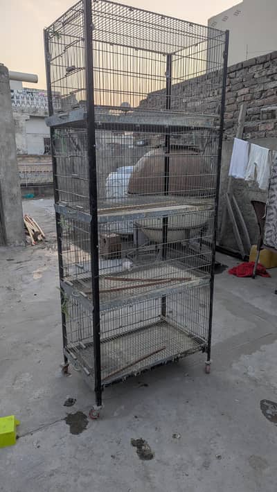 Cage Glaminized Cage