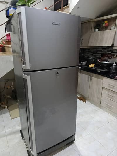 freezer / refrigerator