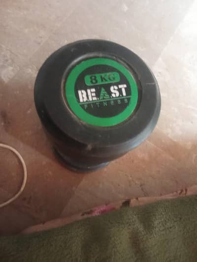 8kg dumble single