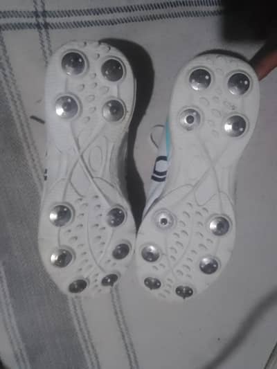 Slightly Used Original Kookabura Spikes Shoes uk 43