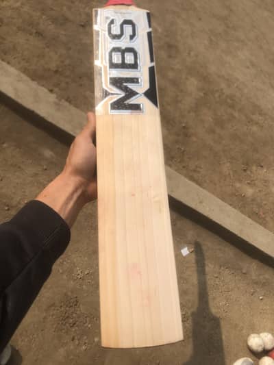 Cricket bat