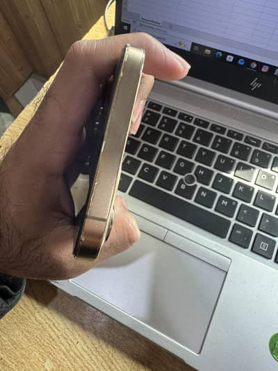 Iphone 12 pro max PTA Approved