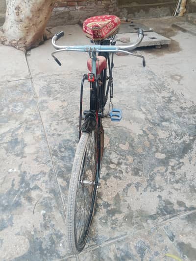 cycle pano aqil cantt