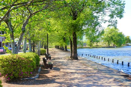 URGENT SALE: 5 MARLA PLOT IN DHA RAHBER 11 SECTOR 2