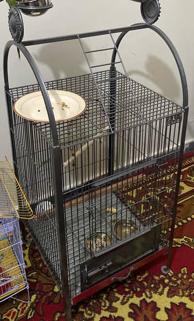 Cage for Raw Parrots