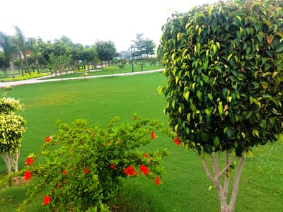 BEAUTIFUL PLOT VERY SUPER HOT LOCATION IN DHA RAHBER 11 SECTOR 1