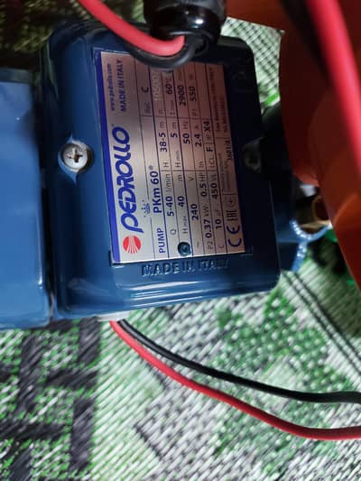 Pedrollo pump+Controller(Italy)