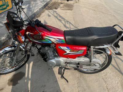 Urgent Sale Lush Condition WhatsApp 03145250974 Chakwal
