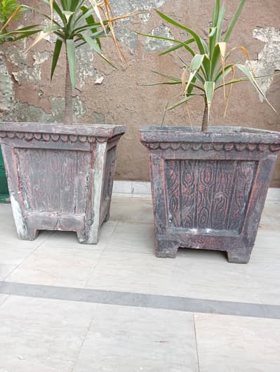 plant pots