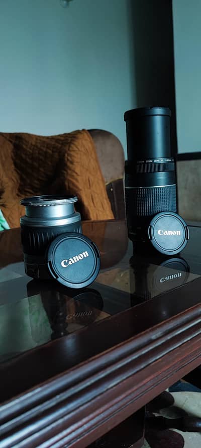canon ef 75-300mm  ef 28 - 90 mm