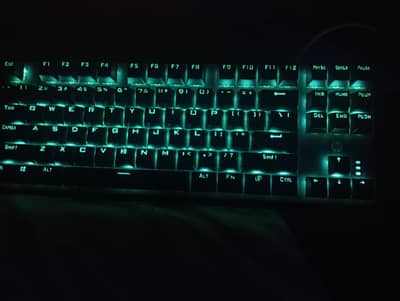 HP Mechanical keyboard Brown switches 80%