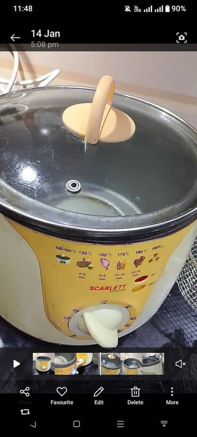 deep fryer