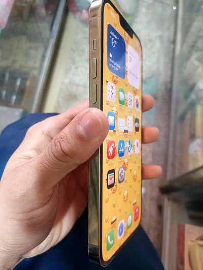 iphone 13 pro max fu non 10/10