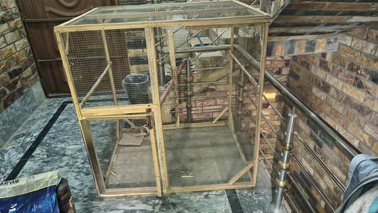 best cage for hens and parrots
