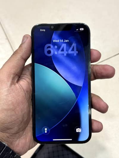 13 Pro Pta Approved Dual pta approved