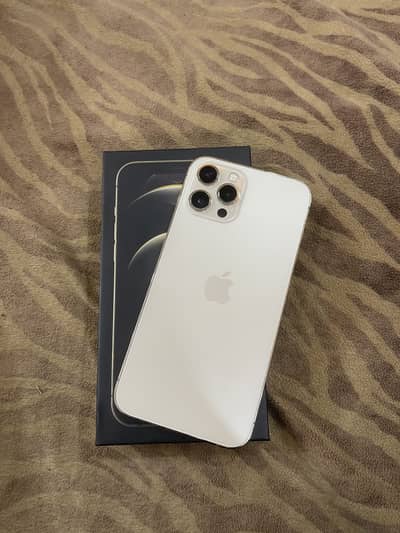 Iphone 12 pro max dual sim pta approved