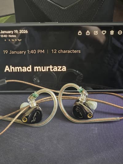 Kz castor pro enhanced bass edition with mic