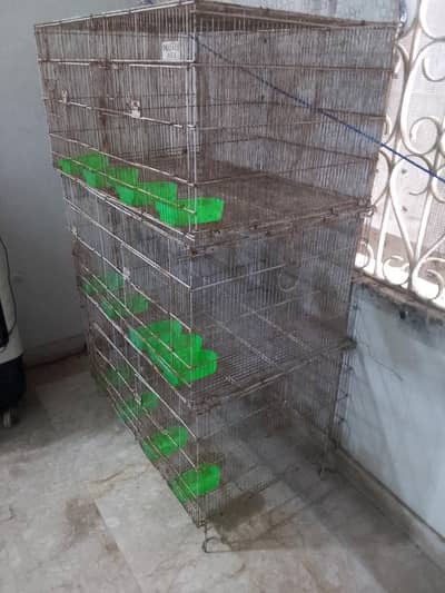 cage for livebird