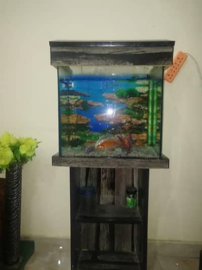 Fish Aquarium with Fishes for sale
