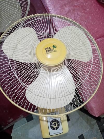 bracket fan (royal fan) (pak fan)