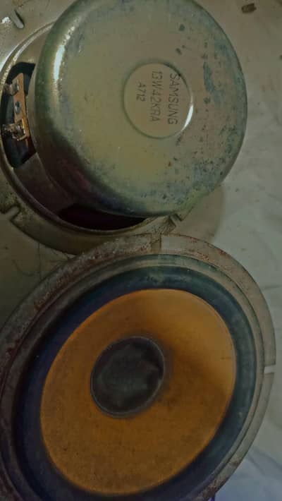 dual Samsung speaker, model 13W42KRA A712.
