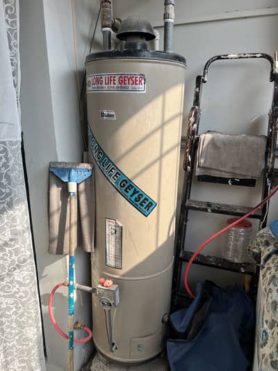 8 guage Geyser Available for sale