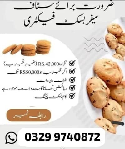 biscuit packing job available staff required