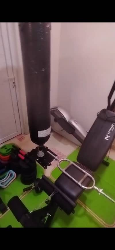 Elliptical. . puch bag. bench weights. . weight stand