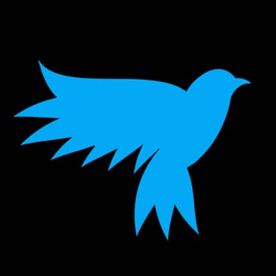 X F. C SOLDIER 8 YEARS EXPERIENCE IN FC BALOCHISTAN