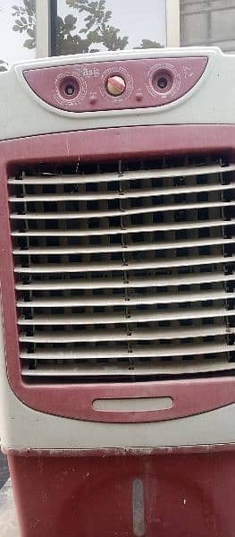 Apple Cooler For sale