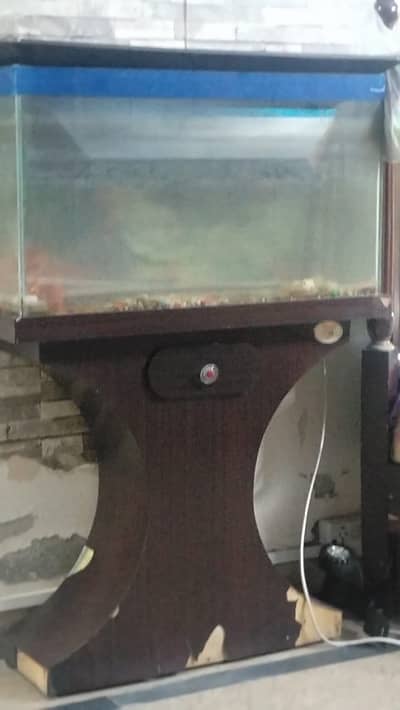 Fish Aquarium - 2.5”L x 1”W x 1.75”H (Feet)