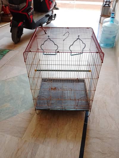 Cages , pinjila