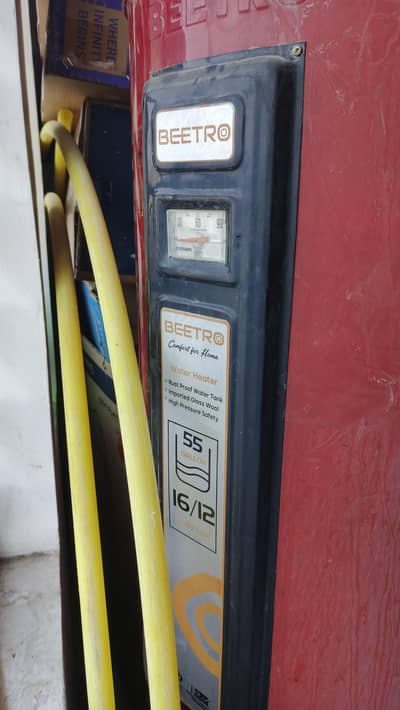Beetro 55 Gallons Gyser
