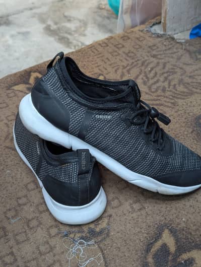 GEOX shoes