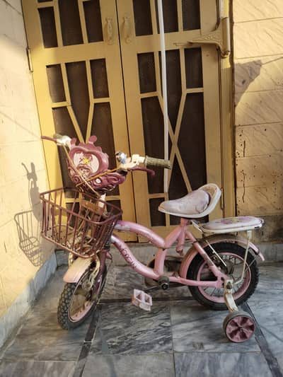 Girl bicycle