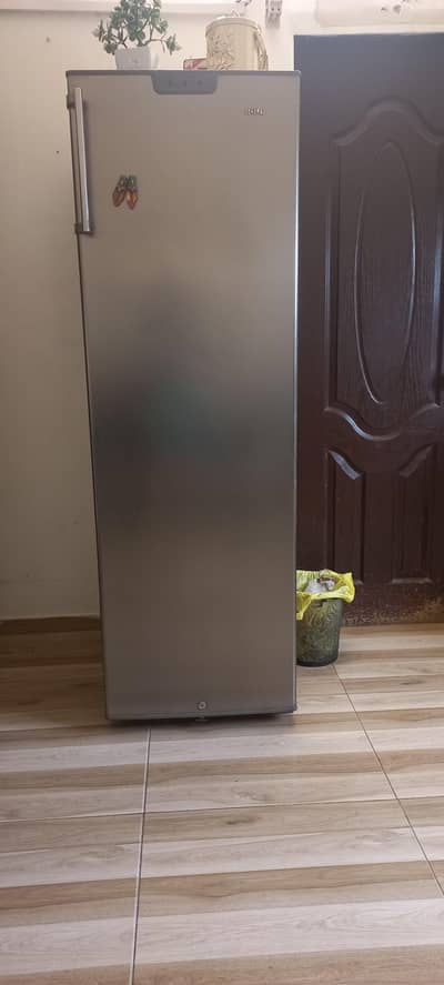 non frost stand deepfreezer branded just like new