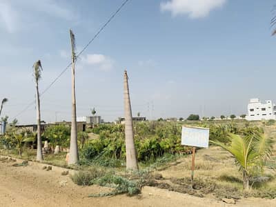 BEST OPPORTUNITY TO BUILD YOUR DREAM HOUSE