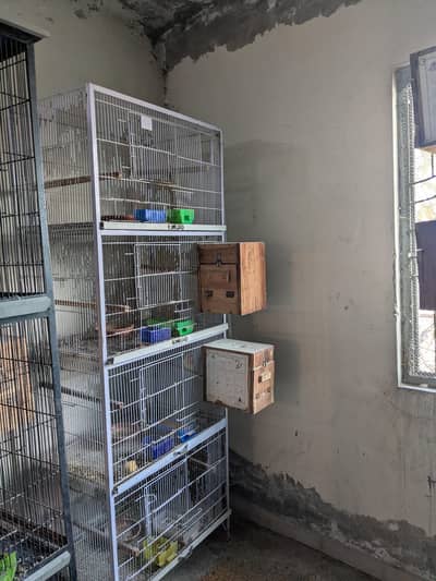 cage for sale 03214538860 whatapp per call kara 4 cahe