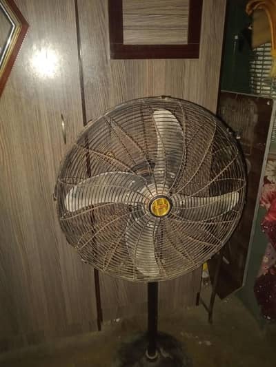 pedestal fan for sale