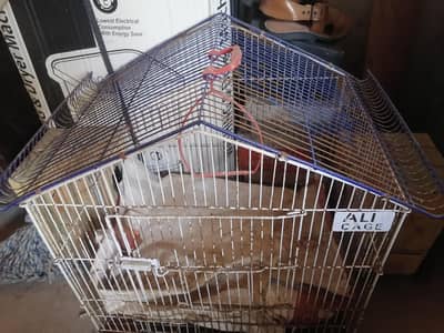 birds cage